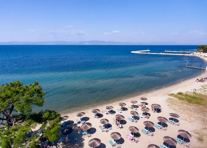 Mediterranean